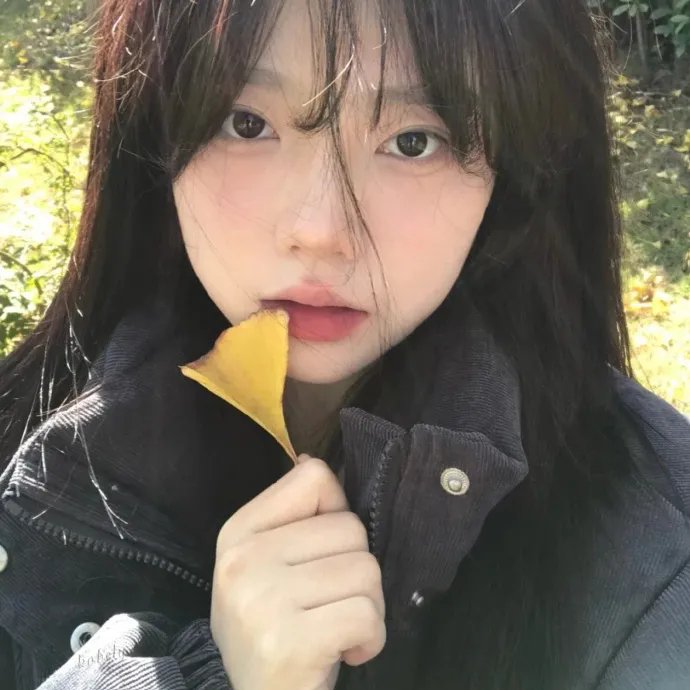 青春谎言之旅